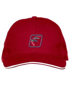 cliquedaviscapjunior-metborduring