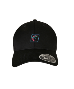Flexfit 110 Curved Visor Snapback